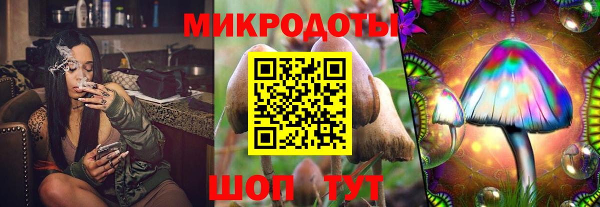 Псилоцибиновые грибы ЛСД  Псилоцибиновые грибы GOLDEN TEACHER  Амурск  магазин продажи   Вход с VPN 